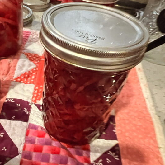 German Style Red Cabbage (Canning recipe)