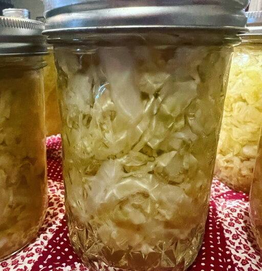 Pickled Cabbage (water Bath Canning)